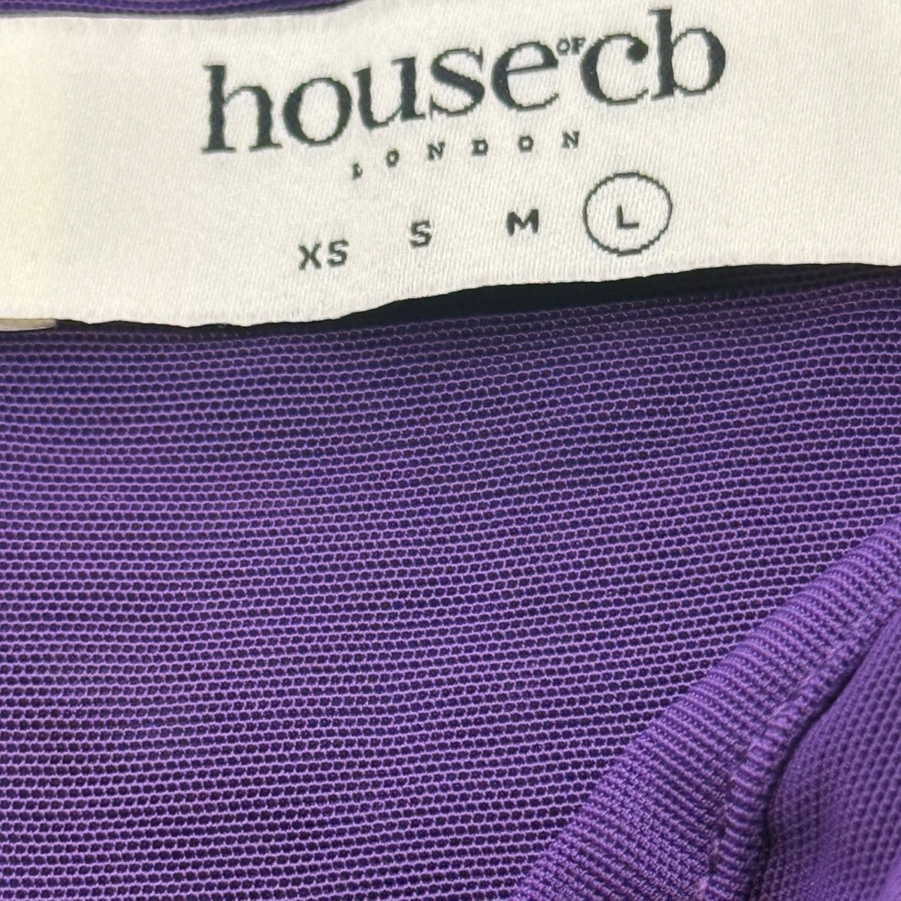 House of CB Vibrant Purple Mesh Bodysuit - Picture 3 of 4